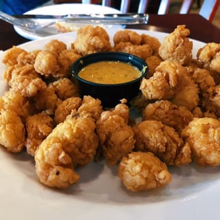 Gator Bites